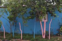 Dominican Republic, 2017