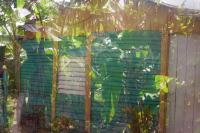 Dominican Republic, 2017